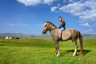 Kyrgyzstan Horse Child 