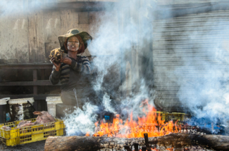 Sheep head seller, Langa, South Africa