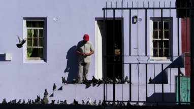 Bokaap pigeon feeding, Cape Town