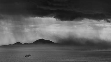 Into the storm, Namibia 