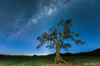 Namibian_Nights_Copyright_James Gradwell