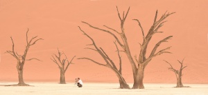 Amazing image of Namibia, Photographing Namibia