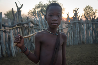 Himba cow herder with sunset
