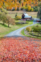 Famous Vermont Farm with autumn leaves on floor