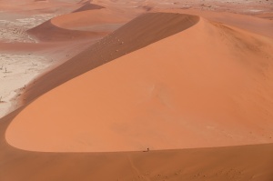 Dwarfed by dunes, Sossusvlei, Namaiba