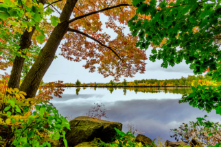 Soft fall Colours, New England, USA