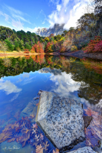Autumn Glory Cape Town, Autumn, fall, colours, beautiful, amazing, waters reflections