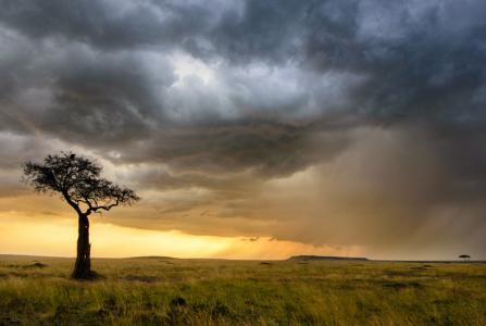 Mara Storm, Kenya Mara Storm, Kenya