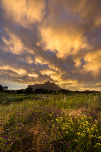 Mammatus clouds! Mammatus clouds Cape Town with Devils Peak
