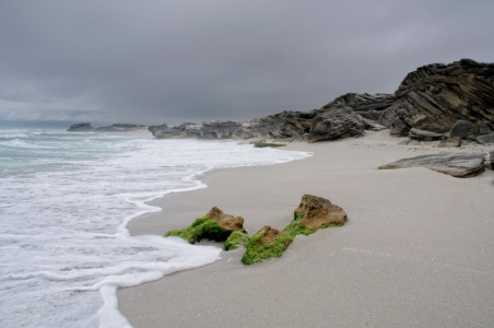 Limestone rocks Limestone rocks Walker Bay, South Africa