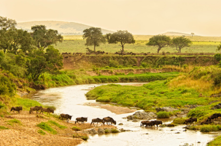 Mara sand river crossing Mara sand river crossing