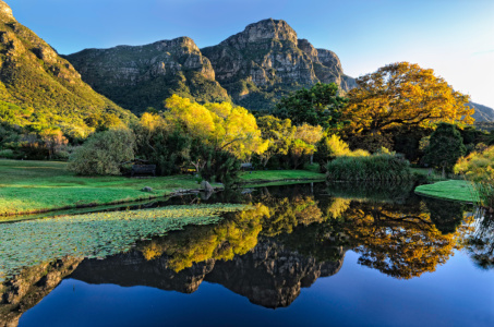 Kirstenbosch perfect morning Kirstenbosch Gardens perfect morning, Cape Town