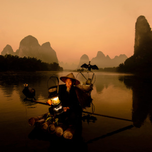 China Cormorant Fisherman golden hour Li River, China. 1st Place best overall Image Cutoit Centre of the Arts (USA) 2016